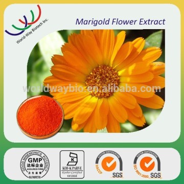 free sample lutein powder,lutein ester,Kosher HACCP FDA marigold flower extract lutein