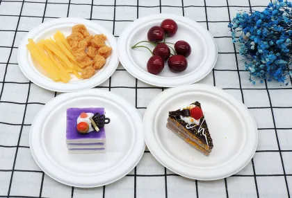 Biodegradable Disposable Paper Plates & Tableware