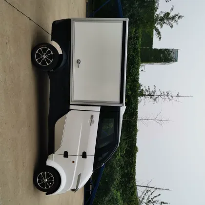 Last Mile Delivery Mini Delivery Van