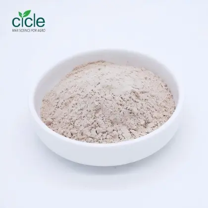 Bacillus thuringiensis subsp. israelensis BTI WP