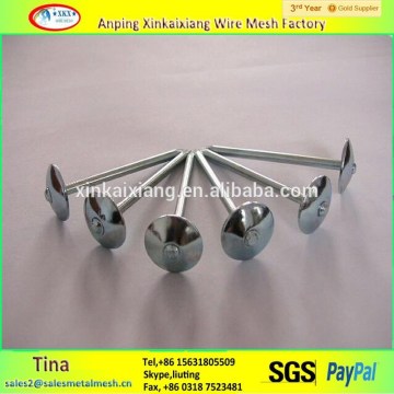 1/2" or 1-3/4" steel Q195 wire nail ,iron nails,china roofing nails