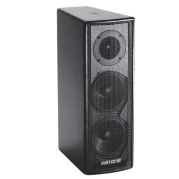 EIS-25 of EIS SERIES speaker
