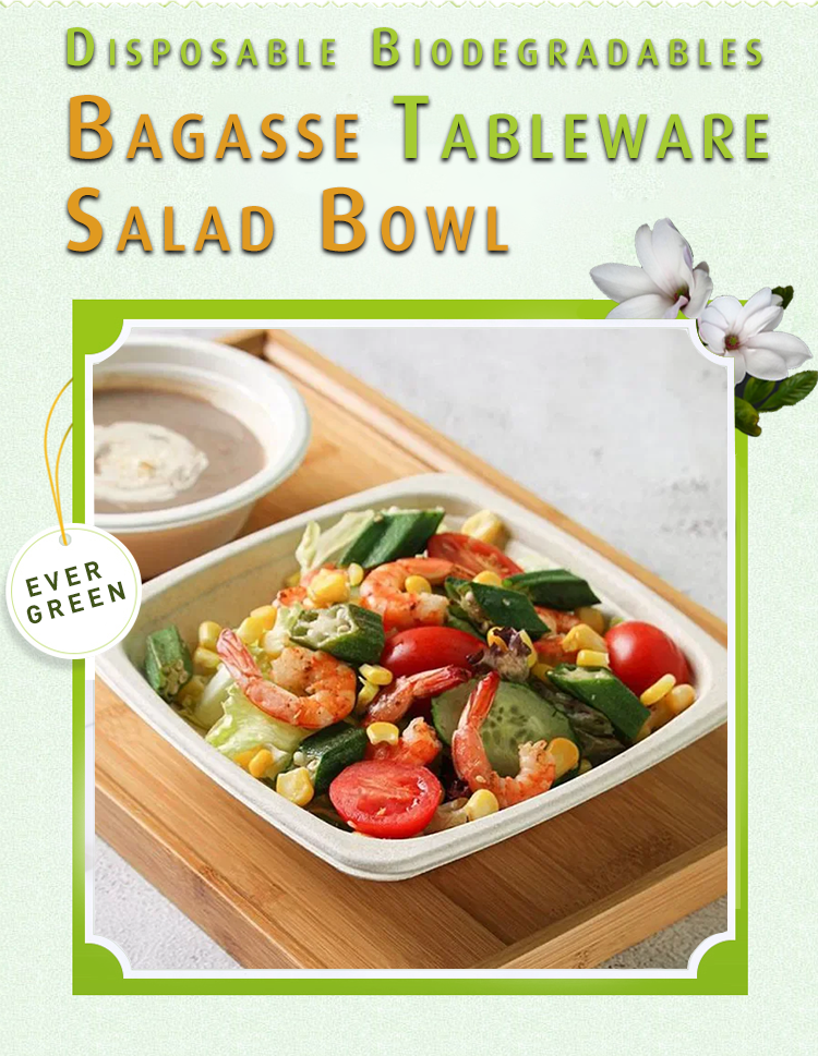 100 % Biodegradable Compostable Pulp Salad Container