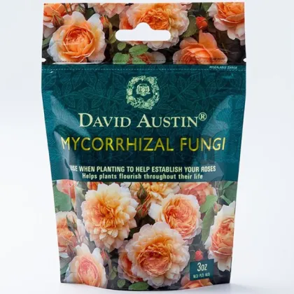 Gravure printing mycorrhizal fungi packaging bag made in China