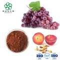 Natural Grape Seed Extract OPC 95%