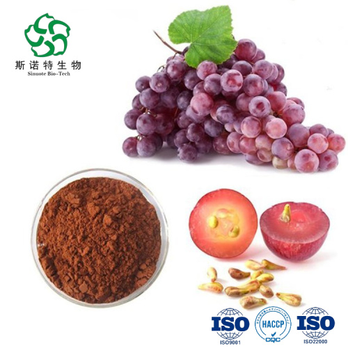 Natural Grape Seed Extract OPC 95%