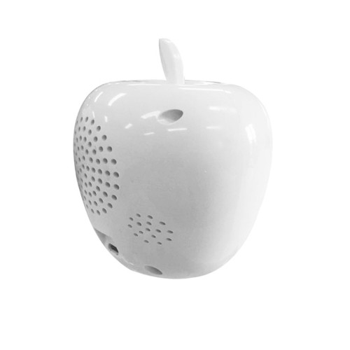 Cute Design 1080P Motion Sensor Wifi IP Camera