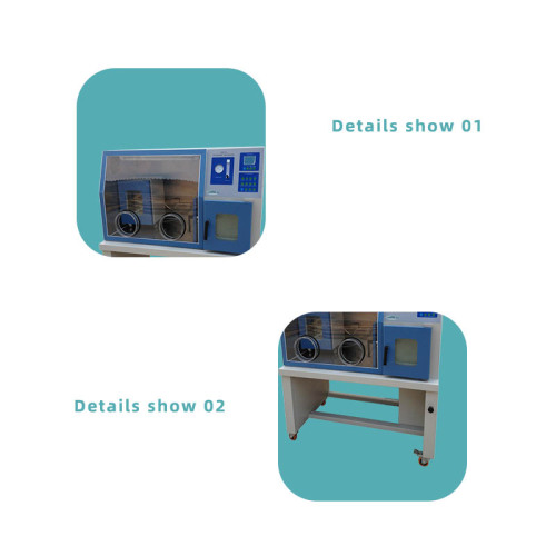 Incubatore anaerobico con eliminare i catalizzatori di ossigeno