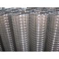 Hot Dipped Galvanized Welded Wire Mesh From Anping