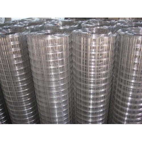 Hot Dipped Galvanized Welded Wire Mesh From Anping