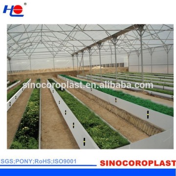 PP 4mm ondulata di plastica