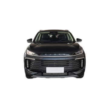 Big Space Passenger Car Exeed Lingyun