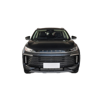 Grande carro de passageiros espacial Exeed Lingyun