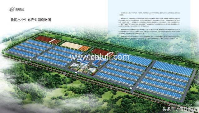 luli plywood price luli plywood price