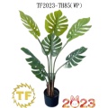 /msite/products/detail/productid/62962298/id/1504288.html