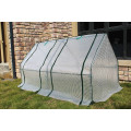 Small Size Single Film Greenhouse