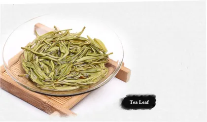Famous Tea Biluochun Green Tea