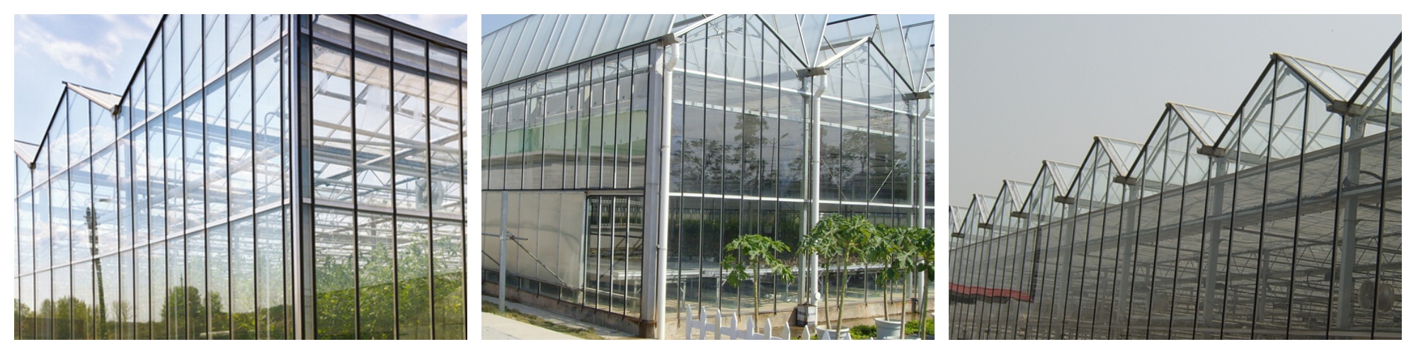 Glass House Without Shading