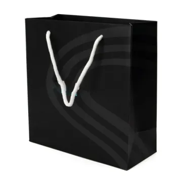 Custom Craft Gift Packaging Printed Shopping Bags