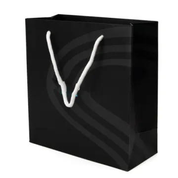 Custom Craft Gift Packaging Printed Shopping Bags