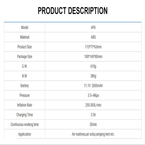 NEWO Electric Air Pump