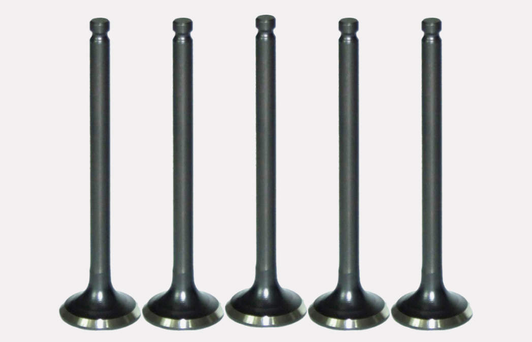 Intake Valve 1010A400 for Engine