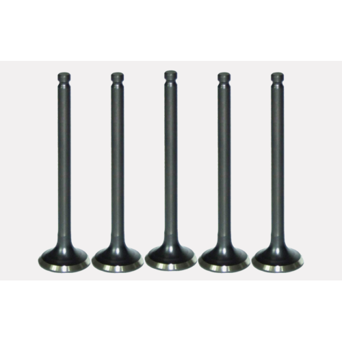 Engine Intake Valve Replacement Part