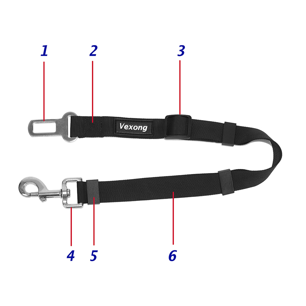 walmart dog leash