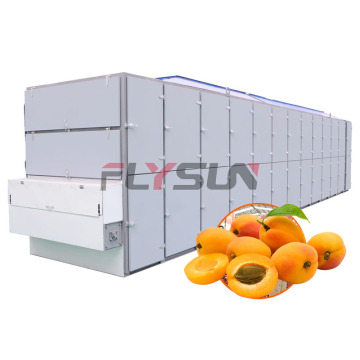 High Quality Apricot Drying Equipment: Vegetables and Fruits Dryer Dehydrator