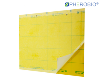 yellow sticky cards for greenhouse pest control