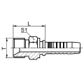 BSP Male 60 องศา SEAT FITTINGS