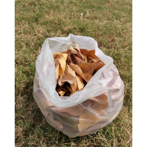 EN13432 / BPI Bolsas 100% biodegradables de hoja de barro certificadas