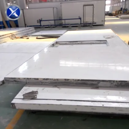 Large manufacturers top quality sandwich xps frp board panel