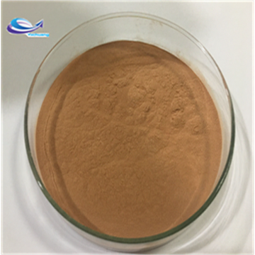 Lion's mane extract hericium erinaceus polysaccharide Beta