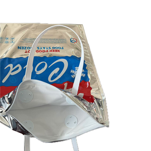 Temperature control bag for beach trips