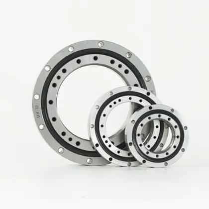 SHF 50 Harmonic Reducer Bearing