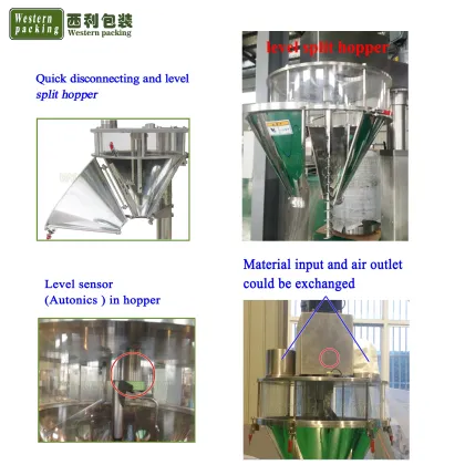 Seasoning and Dry Spice Powder Bottle Filling Machine