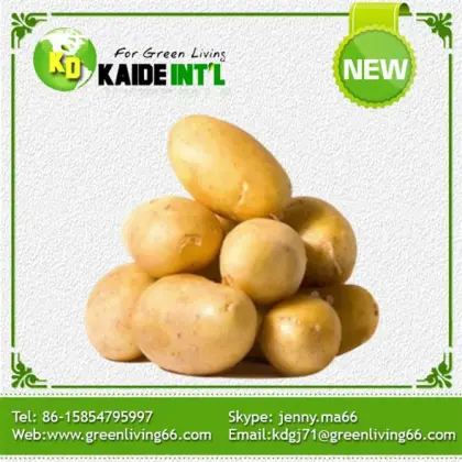 Palatable Cheap Fresh Potatoes