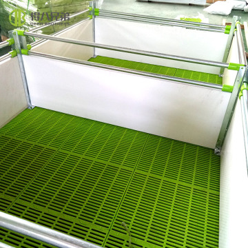 Hot Sale Economical Weaning Stall Pig Breeding Equipment
