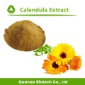 Extracto de flor de caléndula Polvo de flores de caléndula secas 10: 1