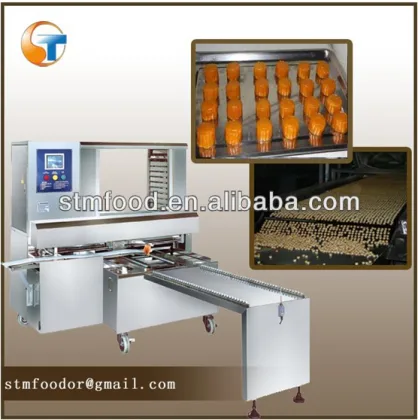 Snacks Processing/Cake Processing Equipment