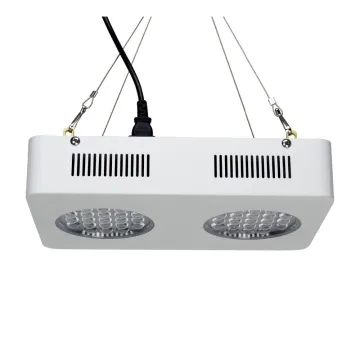 126w 42 pcs led Wholesale led grow light review high times
