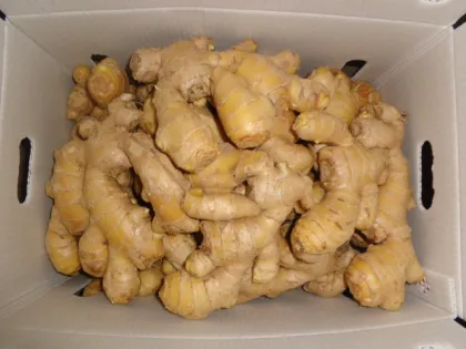organic fresh anqiu ginger