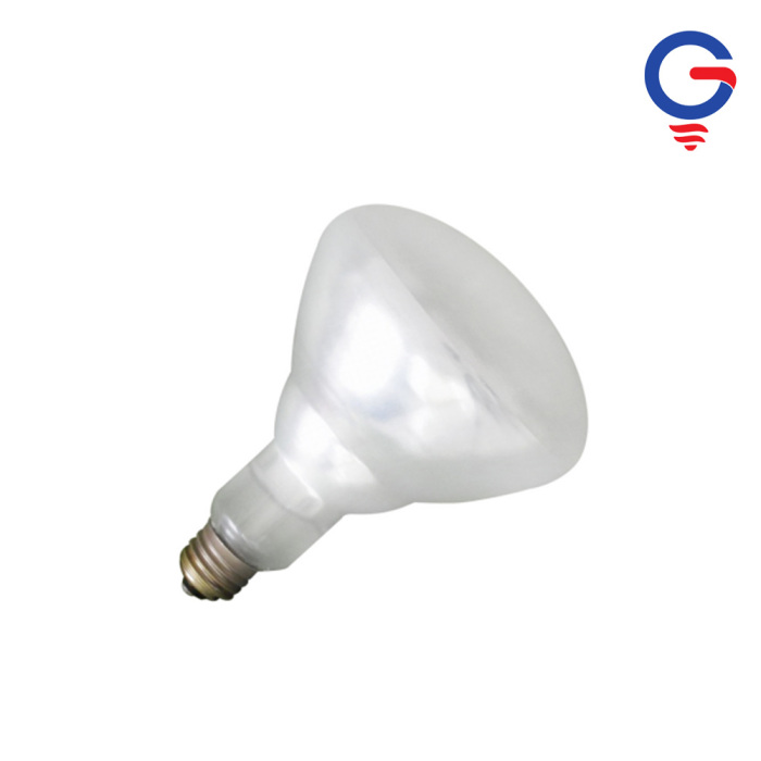 Frosted White Moisture-Resistant Infrared Bulb