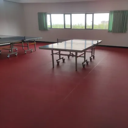 Table Tennis PVC Sports Flooring new arrival