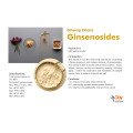 Χαλαρή εκχύλισμα ρίζας ginsenoside ginseng