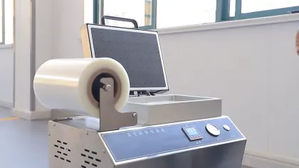 Meat and Vegetable Vacuum Packing Machine for Frozen Foods