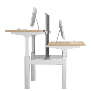 Two-Person Ergonomic Height-Adjustable Stand-Up Desk
