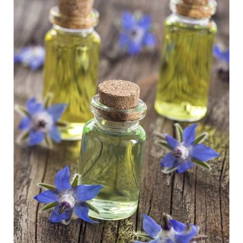 Wholesale borage oil bulk price top quality OEM