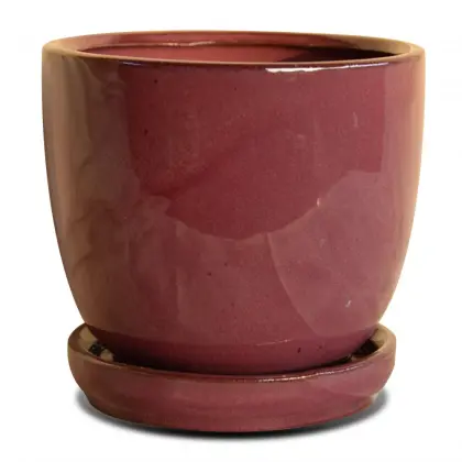 Nordic Glazed Modern Bonsai Pot Ceramic Egg Pot